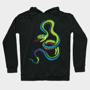 Abstract Colorful Snake Hoodie